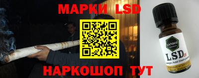 хмурый Тула
