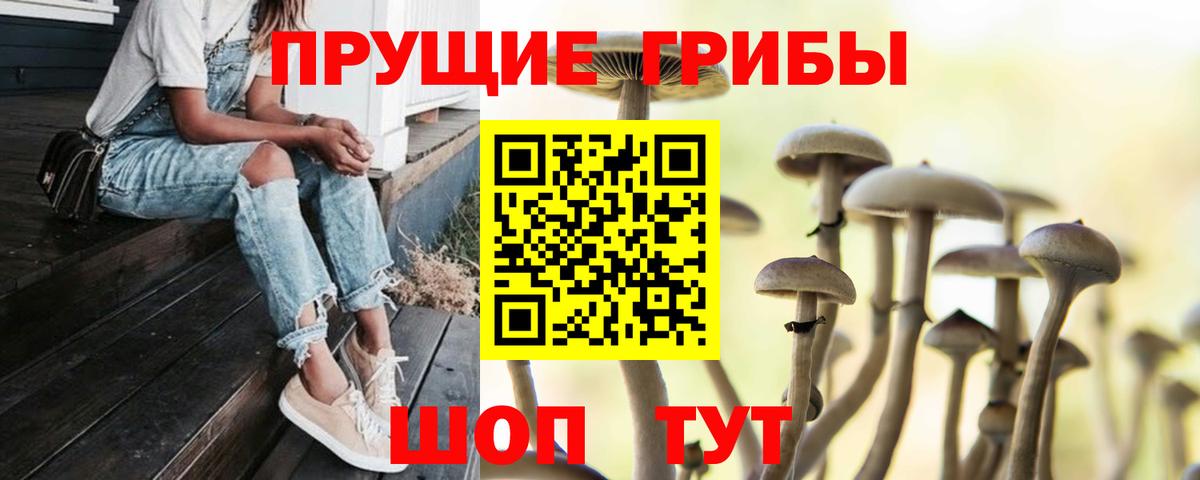 Галлюциногенные грибы Cubensis Шахты